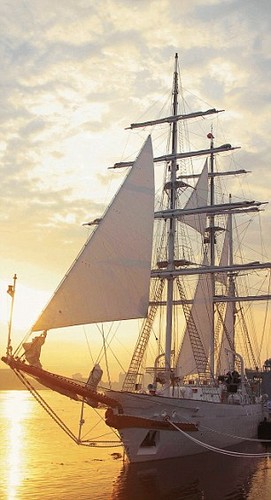 INS Sudarshini in the morning sun - a very stylish barque ©  SW